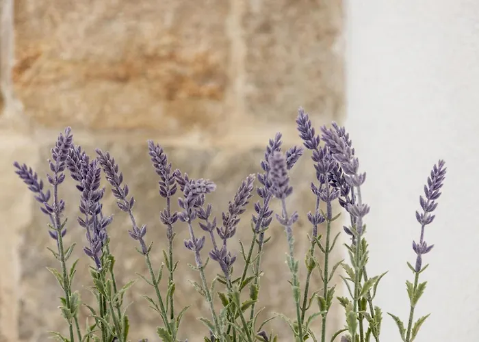 Aparrtment Terra- Combine Beach&old Town Split